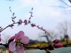 -门城湖公园