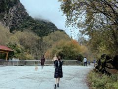 -叠溪松坪沟景区