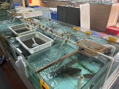 -寻味顺德·南记酒家·传统顺德菜·鱼生(广源路店)