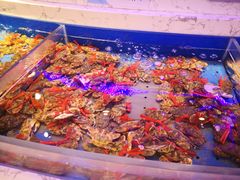 -澜悦港海鲜体验主题餐厅