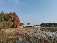 -东湖落雁景区