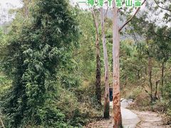 -神湾丫髻山