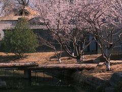 -春风习习