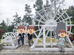 -五营红松林海景区