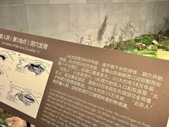 -北京周口店北京人遗址博物馆