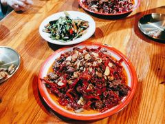 -柴窝堡22号辣子鸡·传承新疆菜