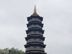 -重庆园博园