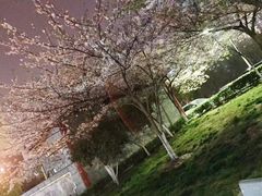 -西北湖绿化广场