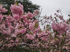 -南山植物园