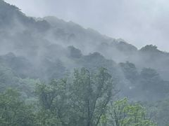 -西湖风景区十里琅珰-五云山