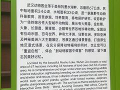 -武汉动物园