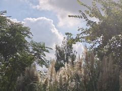 -嘉北郊野公园