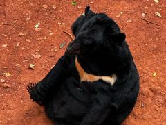 -昆明动物园