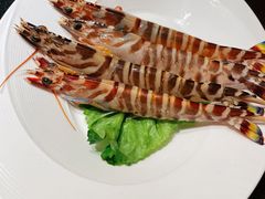 海虾-協成海鮮火鍋(老店)