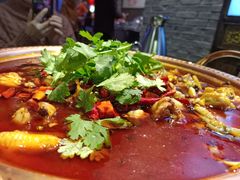 -沪小二炭火蛙锅(淮海中路美食不夜城店)