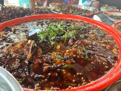 -江湖黑大兔(杨家坪店)