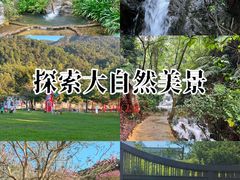 -南丹山森林王国