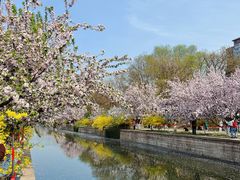 -元大都城垣遗址公园