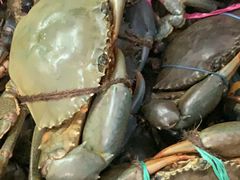 -無招牌海鮮(芽笼店)