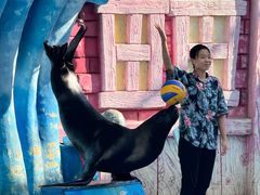 -华夏文旅海洋公园