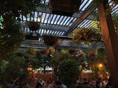 -The Grounds of Alexandria