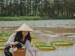 -上海长兴岛郊野公园