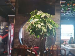 -真地道京味府·鲜橙烤鸭·北京菜(朝外大街东大桥店)