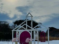 -济州森林小火车生态公园