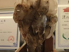 -修申骨雕小颜脊柱骨盆管理产后修复