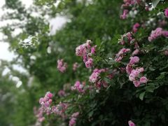 -海帮主·蒸汽海鲜青岛菜(栈桥火车站店)