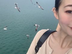 -海驴岛(荣成市)