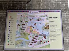 -靖西鹅泉风景区