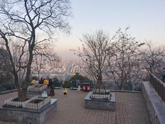 -大蜀山国家森林公园