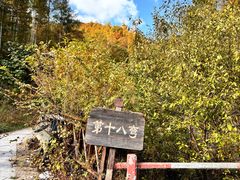 -天女山森林公园