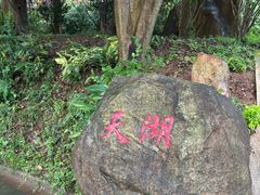 -广州市帽峰山景区