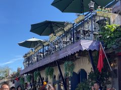 -Sirena海妖日咖夜酒