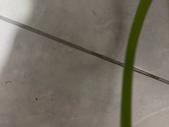 -东北烤肉(钟鼎名悦店)