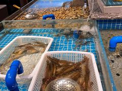 -一方渔歌蒸汽海鲜自助(文化路万达广场店)