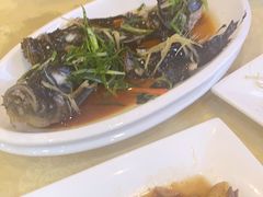 -阳江餐厅·30年老字号·粤菜海鲜大排档