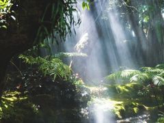 -Chom Cafe and Restaurant