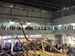 -自贡恐龙博物馆