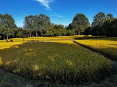 -北坞公园