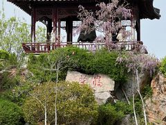 -徐州龟山景区