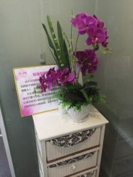 -薇兰专业脱毛连锁机构