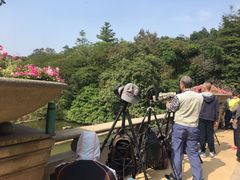 -云溪植物园