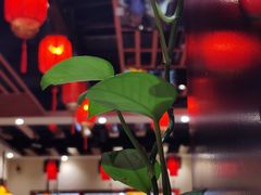 -满园烤鸭·春饼(太原街万达店)