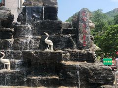 -大岭沟猕猴桃谷风景区