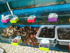 -港畔赶海蒸汽海鲜烧烤自助(仙螺岛店)
