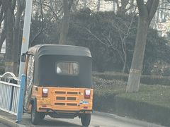 -肥佬椰子鸡(文锦渡店)