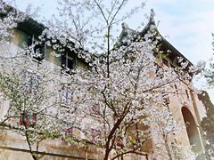 -武汉大学-樱园